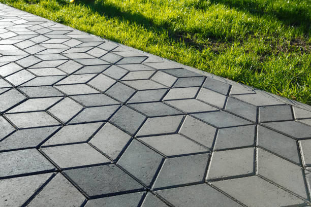 Best Professional Driveway Pavers  in Wortham, TX